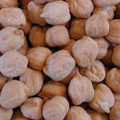 Chick pea